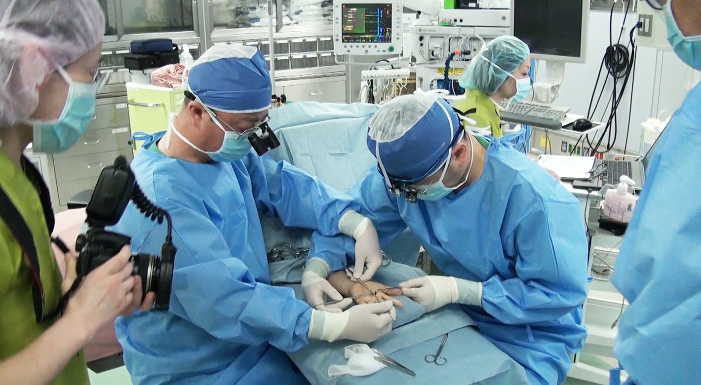 手の外科（上肢外科）、関節リウマチ科